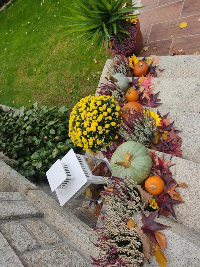 Posada Rural La Flor Las Navas del Marqués Zewnętrze zdjęcie