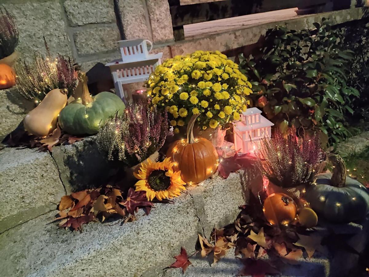 Posada Rural La Flor Las Navas del Marqués Zewnętrze zdjęcie